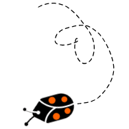 background shape